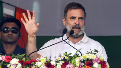 ‘Bhayankar chori’: Rahul Gandhi promises big exposé on poll ‘theft’; ‘probes Lok Sabha seat in Karnataka’ | India News
